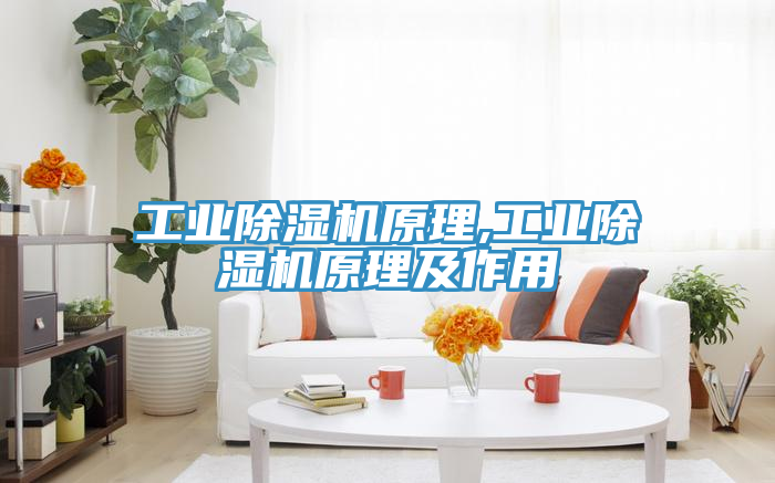 工业除湿机原理,工业除湿机原理及作用