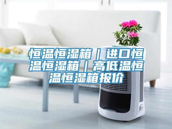 恒温恒湿箱｜进口恒温恒湿箱｜高低温恒温恒湿箱报价