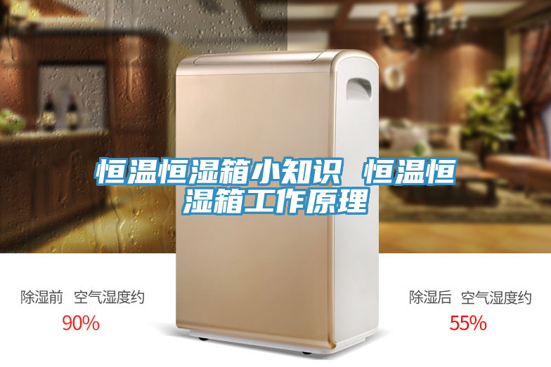 恒温恒湿箱小知识 恒温恒湿箱工作原理
