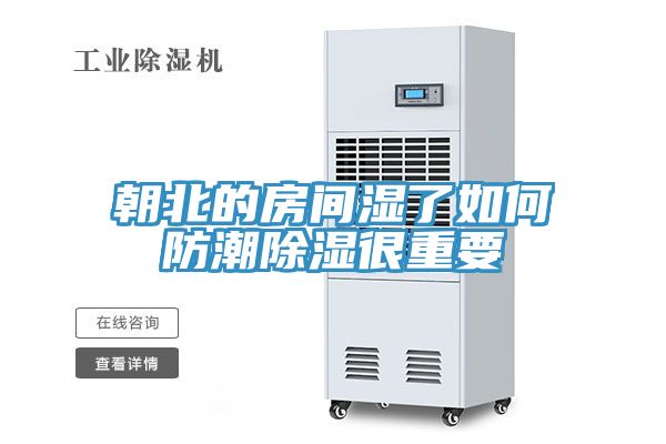 朝北的房间湿了如何防潮除湿很重要