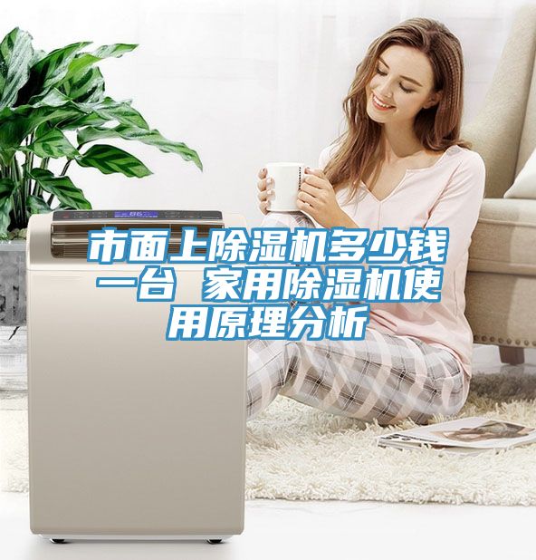 市面上除湿机多少钱一台 家用除湿机使用原理分析