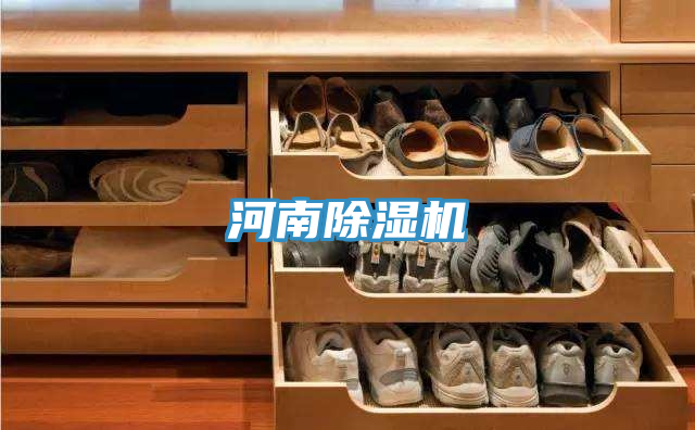 河南除湿机