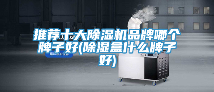 推荐十大除湿机品牌哪个牌子好(除湿盒什么牌子好)