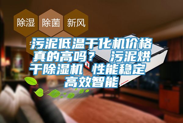 污泥低温干化机价格真的高吗？ 污泥烘干除湿机 性能稳定 高效智能