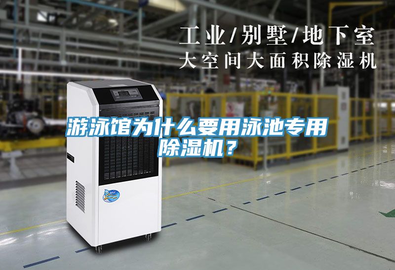 游泳馆为什么要用泳池专用除湿机？