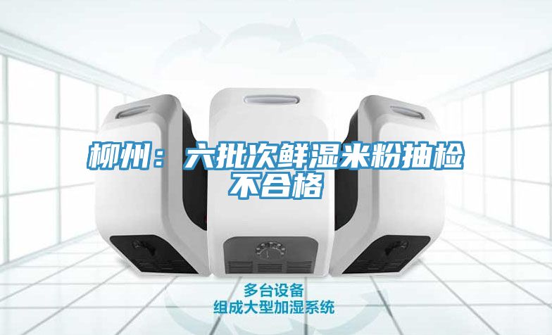 柳州：六批次鲜湿米粉抽检不合格