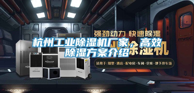 杭州工业除湿机厂家，高效除湿方案介绍