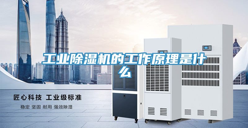 工业除湿机的工作原理是什么