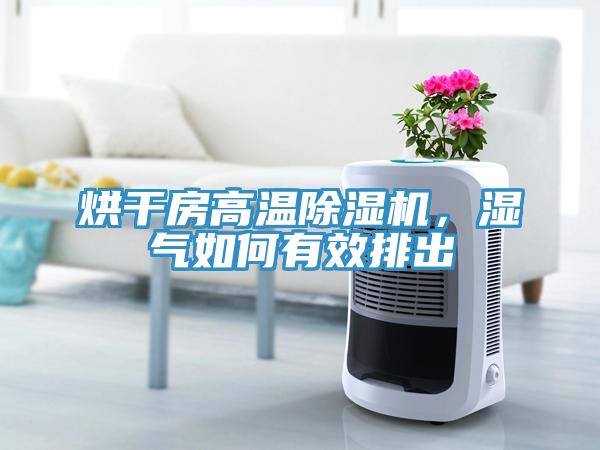烘干房高温除湿机，湿气如何有效排出