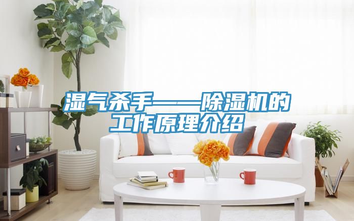 湿气杀手——除湿机的工作原理介绍