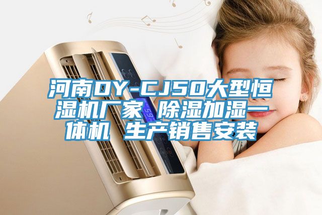 河南DY-CJ50大型恒湿机厂家 除湿加湿一体机 生产销售安装