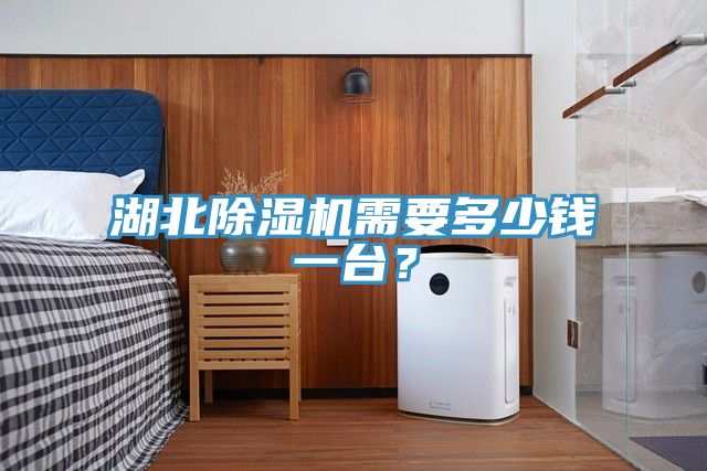 湖北除湿机需要多少钱一台？