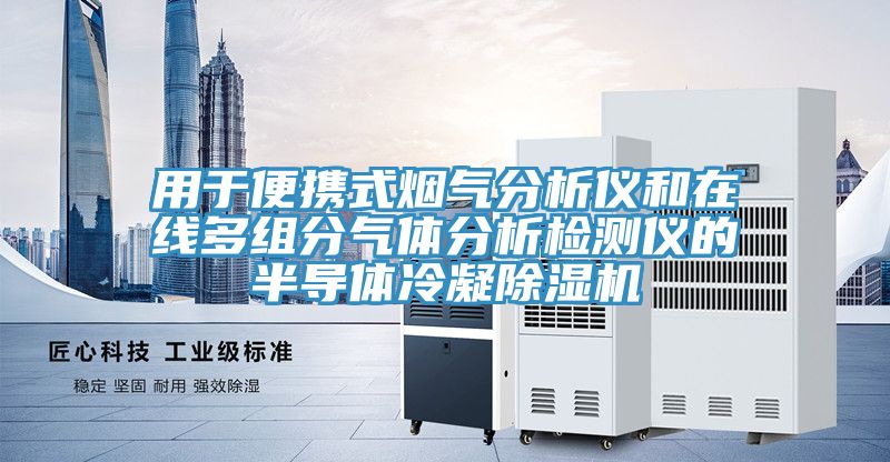 用于便携式烟气分析仪和在线多组分气体分析检测仪的半导体冷凝除湿机