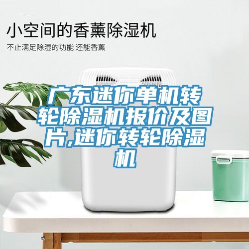 广东迷你单机转轮除湿机报价及图片,迷你转轮除湿机