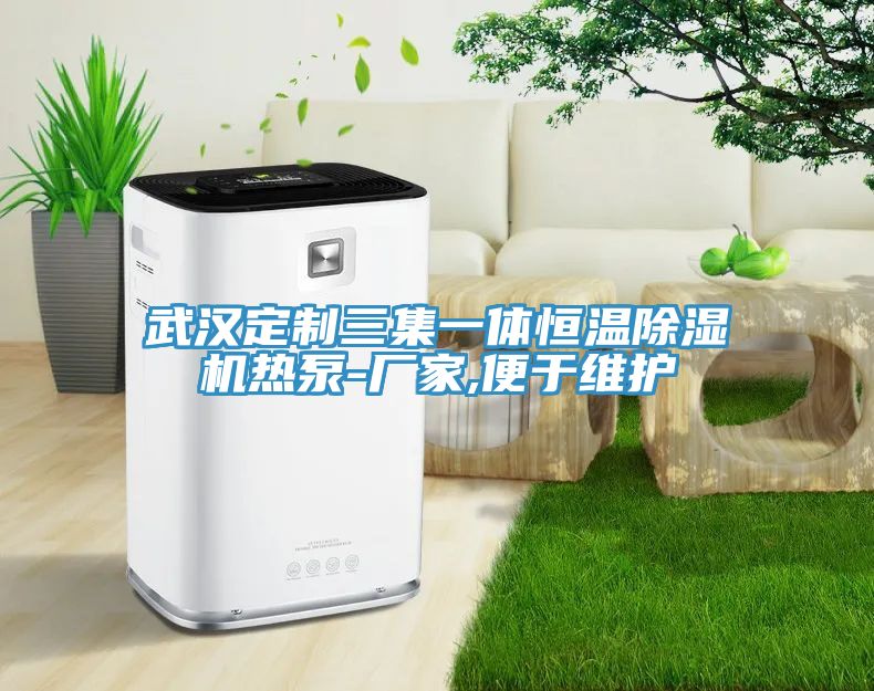 武汉定制三集一体恒温除湿机热泵-厂家,便于维护