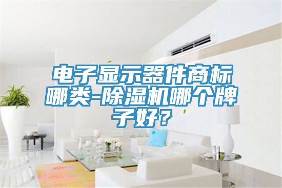 电子显示器件商标哪类-除湿机哪个牌子好？