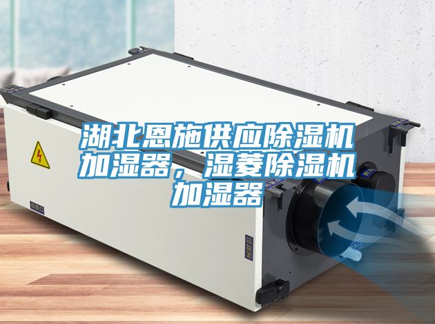 湖北恩施供应除湿机加湿器，湿菱除湿机加湿器