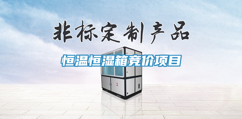 恒温恒湿箱竞价项目