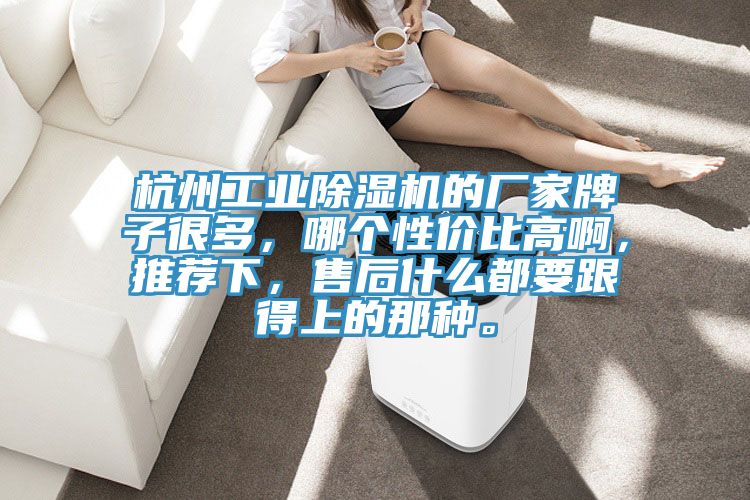 杭州工业除湿机的厂家牌子很多，哪个性价比高啊，推荐下，售后什么都要跟得上的那种。