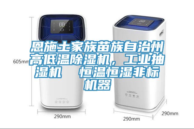 恩施土家族苗族自治州高低温除湿机，工业抽湿机  恒温恒湿非标机器