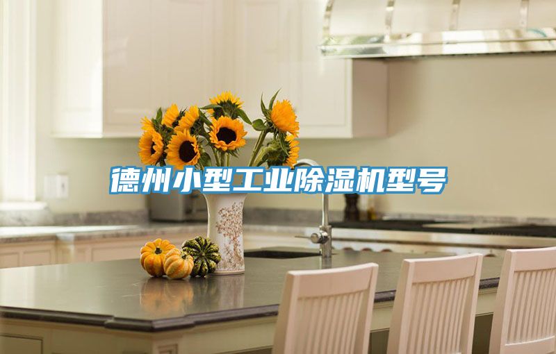 德州小型工业除湿机型号