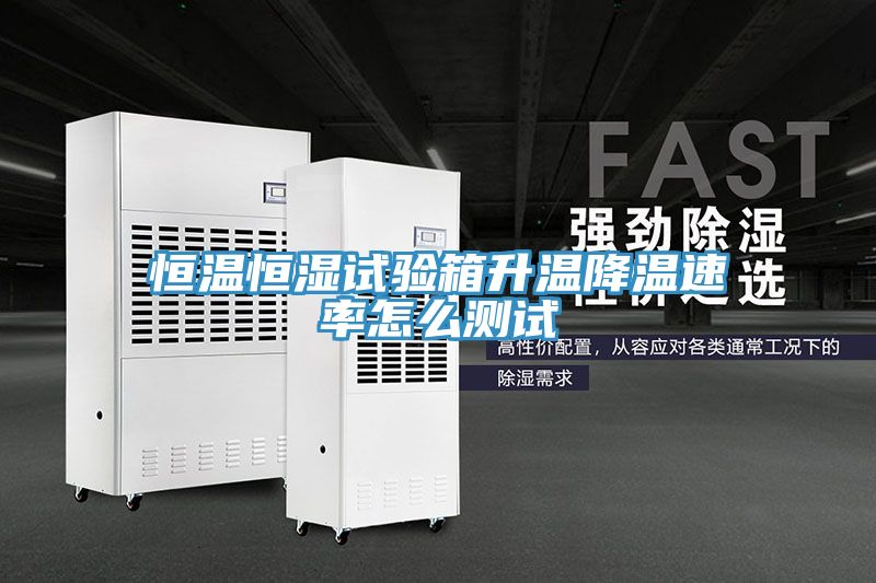 恒温恒湿试验箱升温降温速率怎么测试