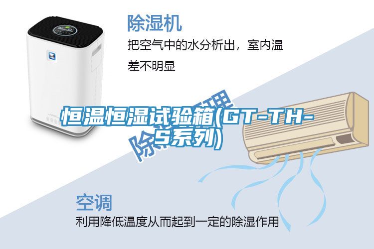 恒温恒湿试验箱(GT-TH-S系列)