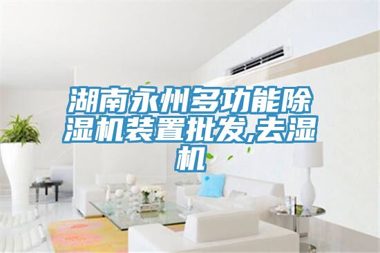 湖南永州多功能除湿机装置批发,去湿机