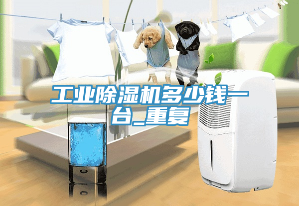 工业除湿机多少钱一台_重复