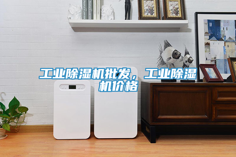 工业除湿机批发，工业除湿机价格