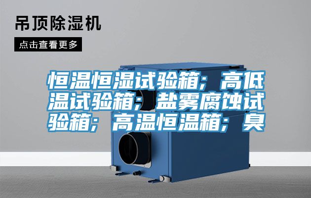 恒温恒湿试验箱; 高低温试验箱; 盐雾腐蚀试验箱; 高温恒温箱; 臭