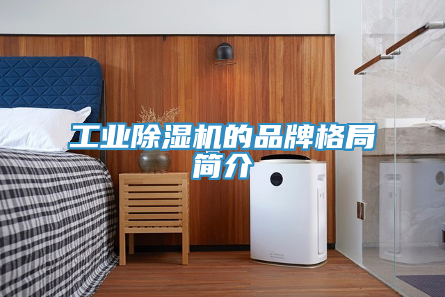 工业除湿机的品牌格局简介