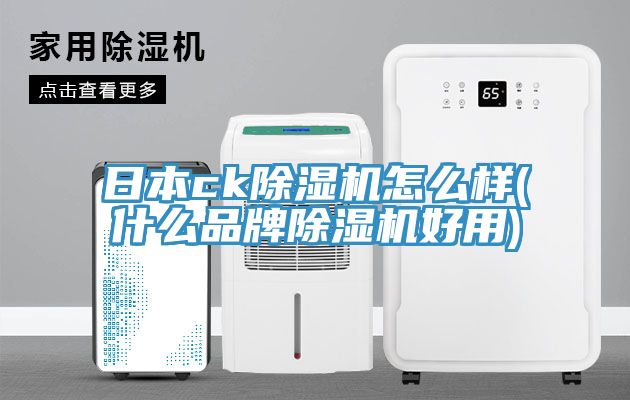日本ck除湿机怎么样(什么品牌除湿机好用)