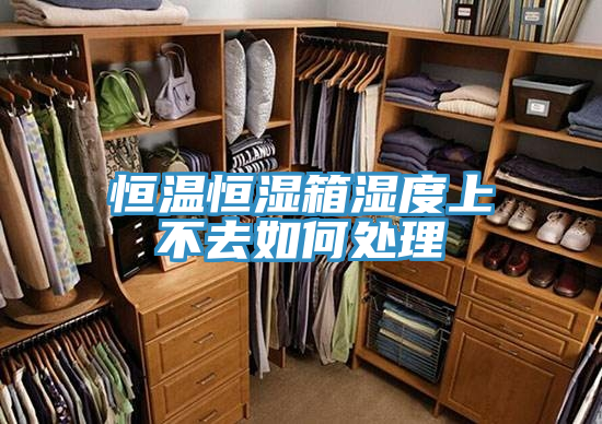 恒温恒湿箱湿度上不去如何处理
