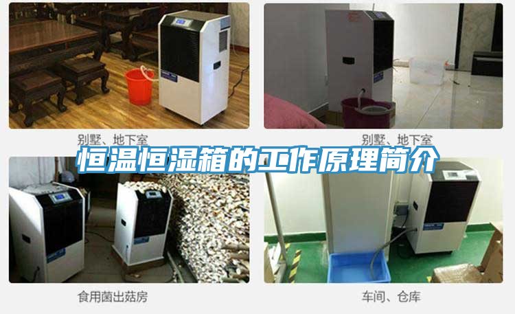 恒温恒湿箱的工作原理简介