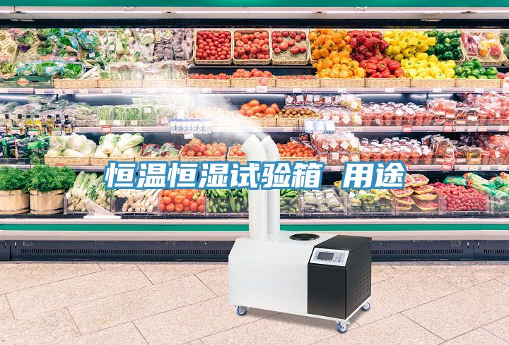 恒温恒湿试验箱 用途