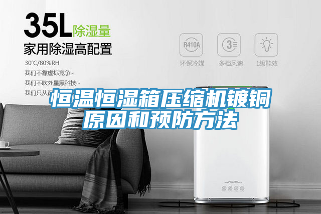 恒温恒湿箱压缩机镀铜原因和预防方法