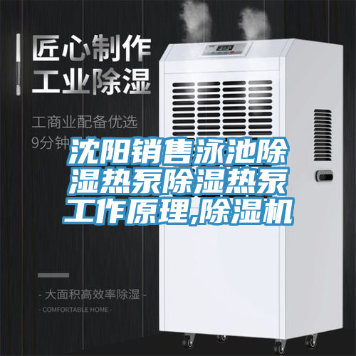 沈阳销售泳池除湿热泵除湿热泵工作原理,除湿机