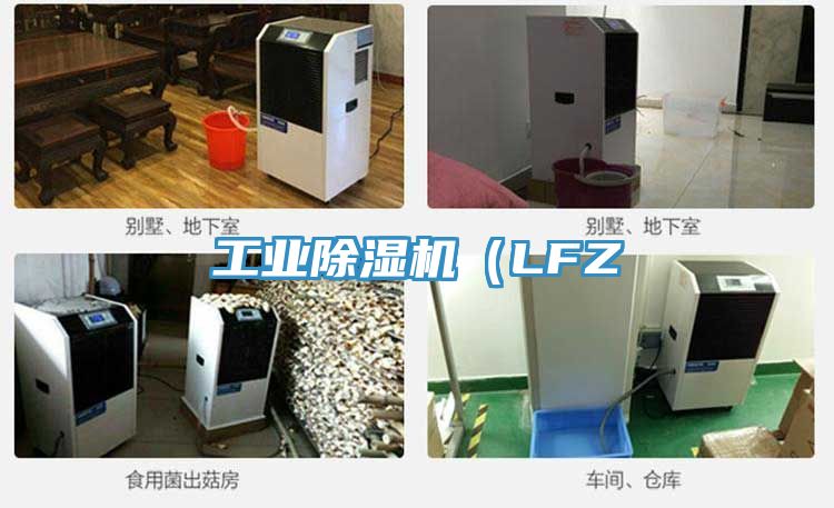 工业除湿机（LFZ