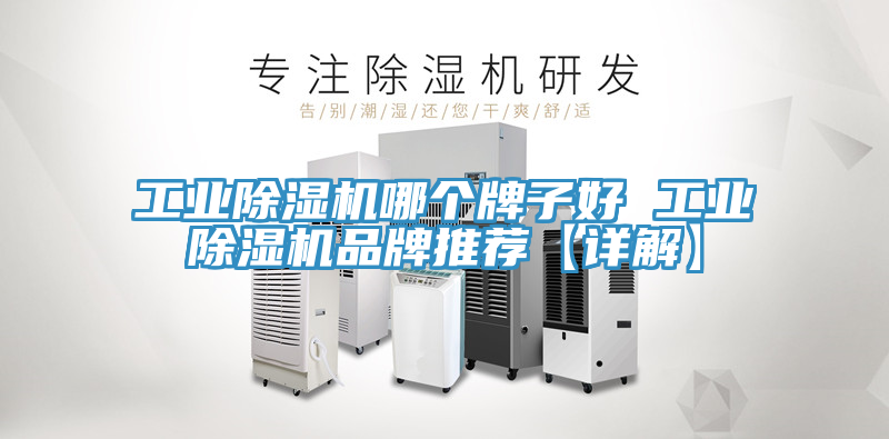 工业除湿机哪个牌子好 工业除湿机品牌推荐【详解】