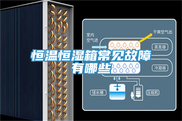 恒温恒湿箱常见故障有哪些