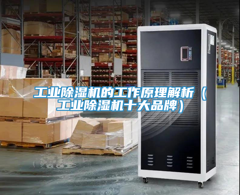 工业除湿机的工作原理解析（工业除湿机十大品牌）