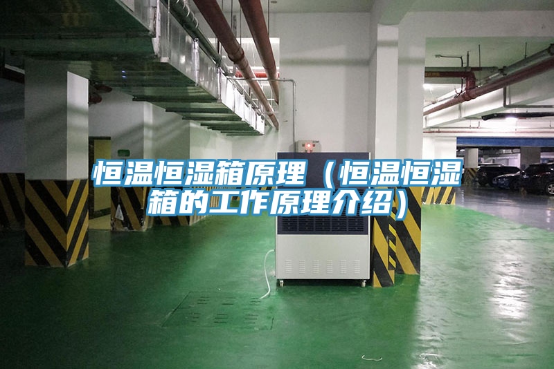 恒温恒湿箱原理（恒温恒湿箱的工作原理介绍）