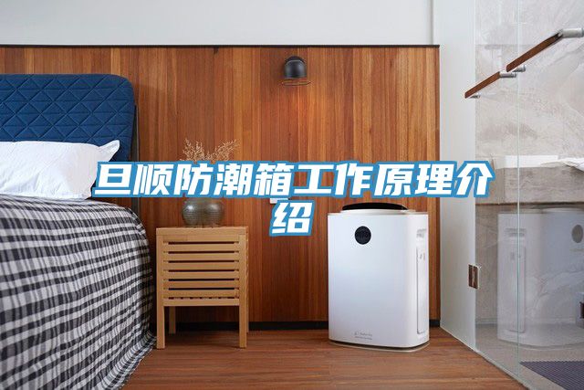 旦顺防潮箱工作原理介绍