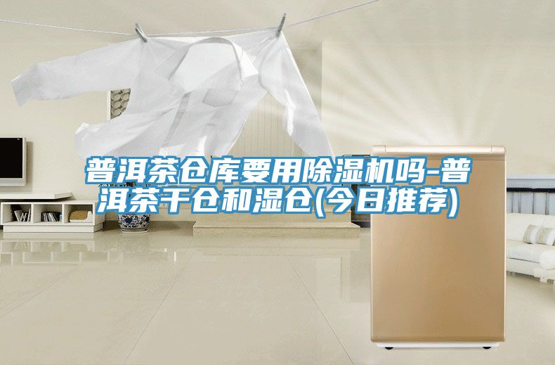 普洱茶仓库要用除湿机吗-普洱茶干仓和湿仓(今日推荐)