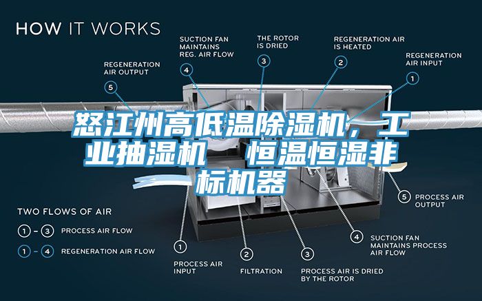 怒江州高低温除湿机，工业抽湿机  恒温恒湿非标机器