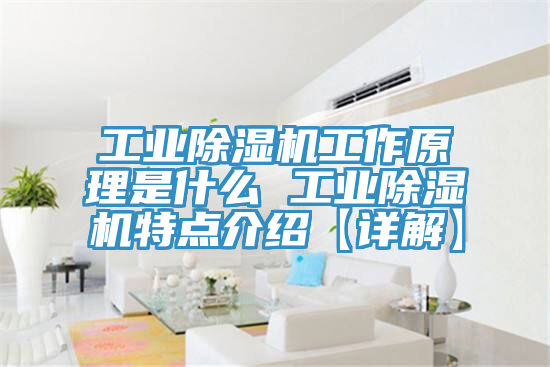 工业除湿机工作原理是什么 工业除湿机特点介绍【详解】