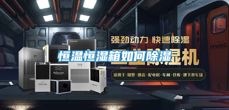 恒温恒湿箱如何除湿