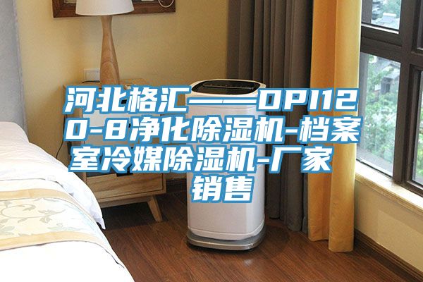 河北格汇——DPI120-8净化除湿机-档案室冷媒除湿机-厂家  销售
