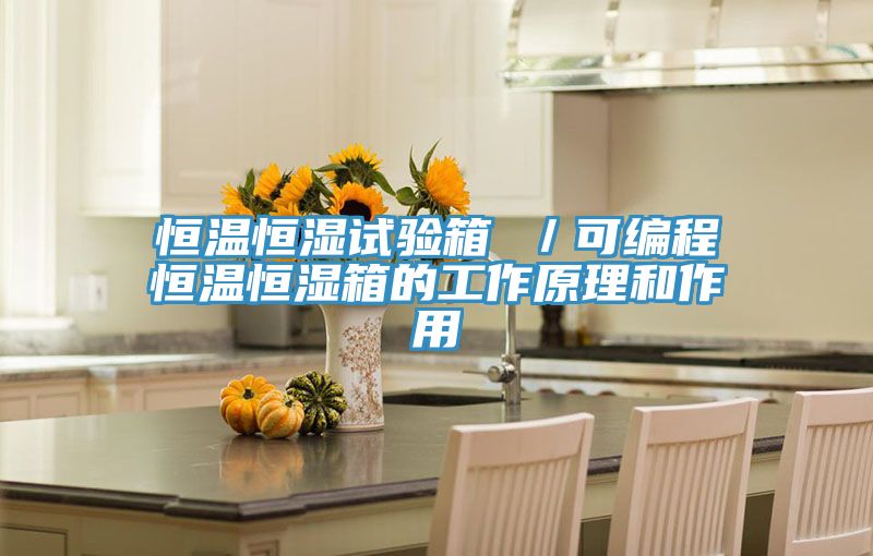 恒温恒湿试验箱 ／可编程恒温恒湿箱的工作原理和作用